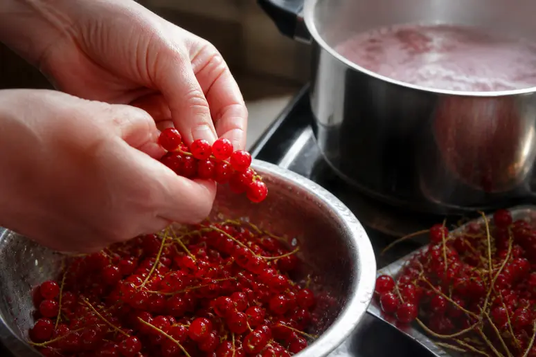 Vorbereitung von frischen roten Johannisbeeren und Sirup für das Einkochen